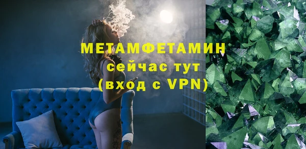 молекула духа Вяземский