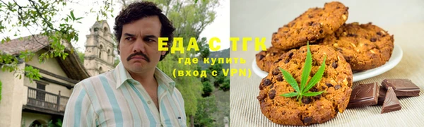 молекула духа Вяземский